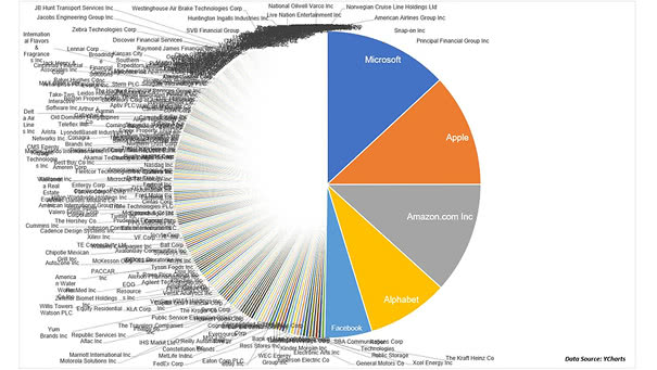 The Five Biggest Stocks in the S&P 500